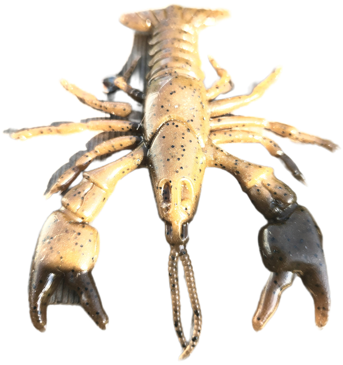 HD Craw