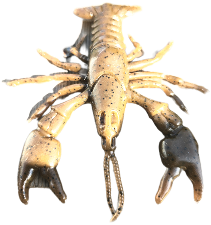 HD Craw